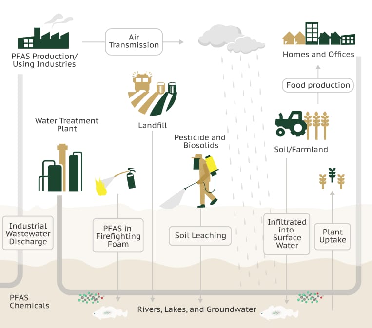 pfas-explained - Ferraro Law Firm